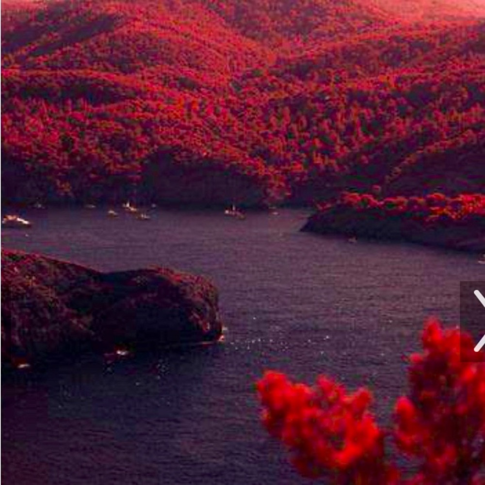 Meet your Posher, Janet